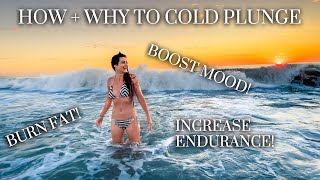 How and Why to Cold Plunge