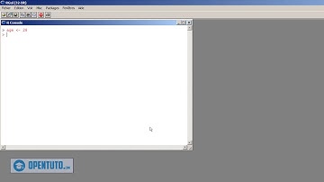 #3 - Affectation des variables dans R