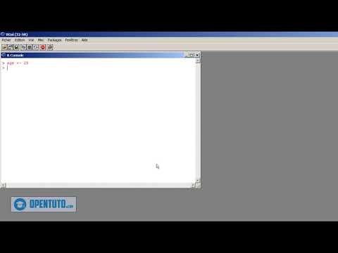 #3 - Assigning variables in R