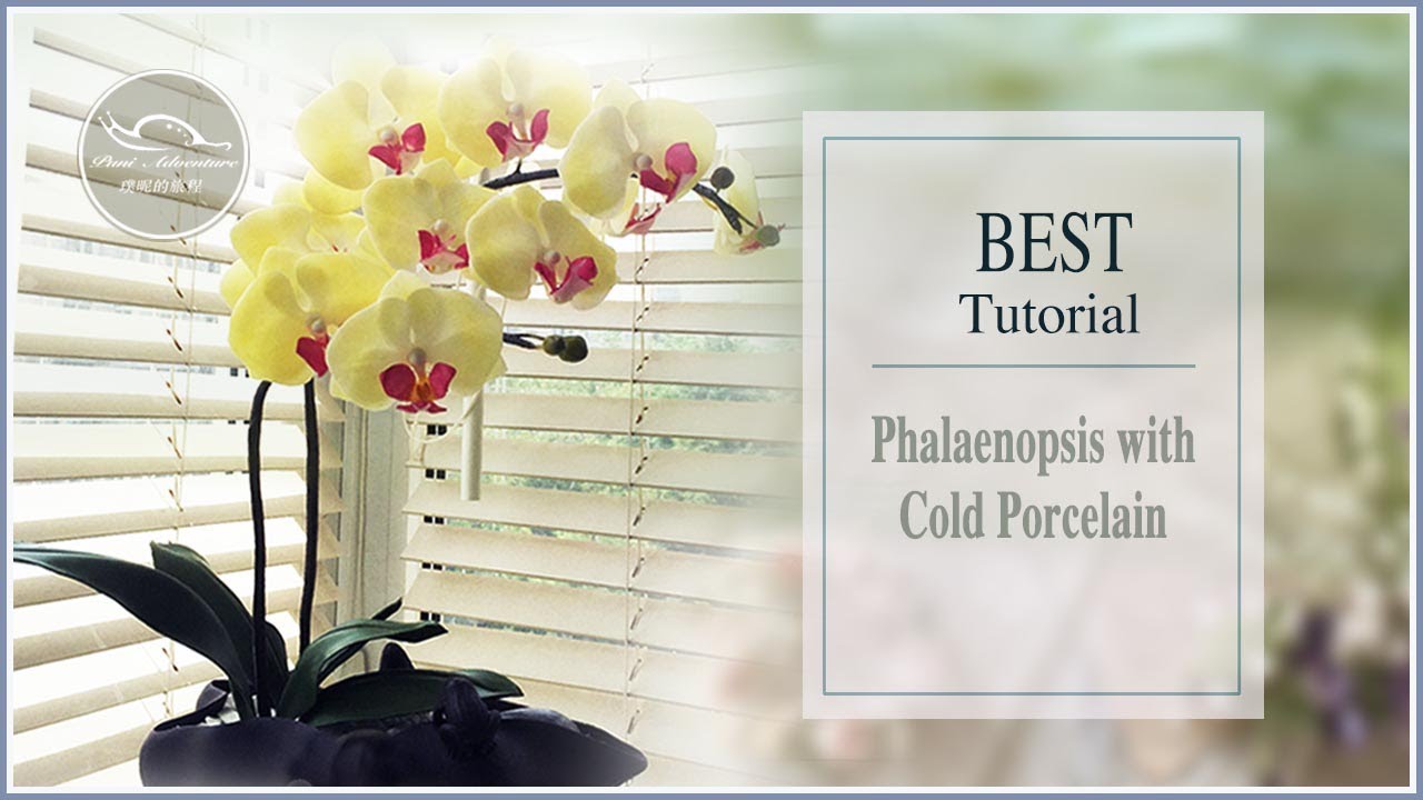 ☘️ [diy] [粘土/冷瓷]  [CLAY /Cold Porcelain flower Tutorial ] [蝴蝶兰花/Phalaenopsis Orchids   ]（字幕）