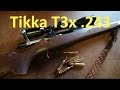 Tikka t3x hunter  first review