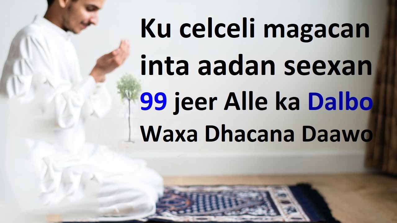 Magacan ku celceli 99 jeer inta aadan seexan waxadan fileyn Heleysa subaxdii Bishaaro kaa farxisa