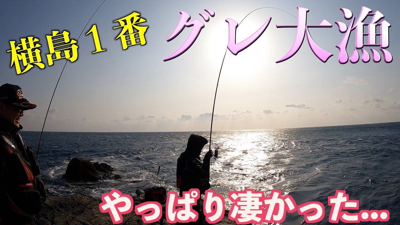 【4K】【グレ】グレ大漁!!大分横島1番、やっぱり凄かった!!#グレ#フカセ釣り