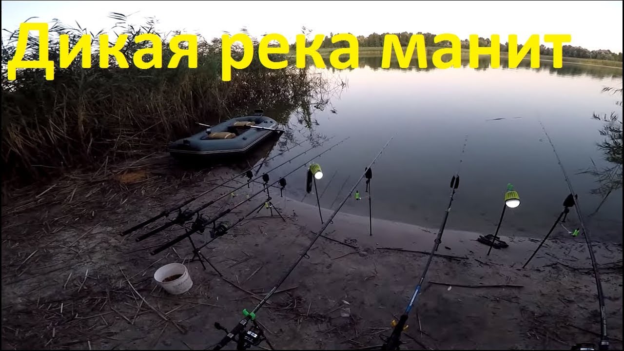 Ловля карпа на флеты, на диком водоеме, Ловля карпа на кукурузу и попап / Карпфишинг