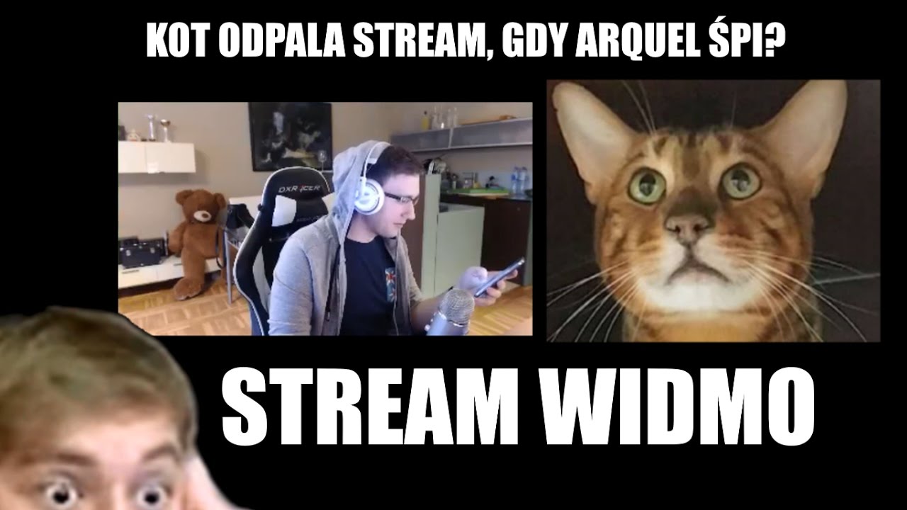 KOT ODPALA STREAM JAK ARQUEL ŚPI? TAJEMNICZY STREAM