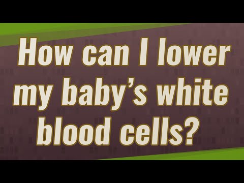 मैं अपने बच्चे की श्वेत रक्त कोशिकाओं को कैसे कम कर सकती हूँ?