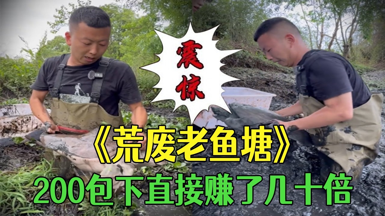荒廢老魚塘，200包下直接賺了幾十倍，刺激到尖叫#小飛哥#三農 #戶外 #鄉村守護人#包塘