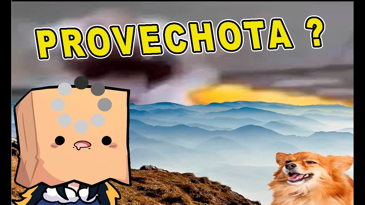 PROVECHOTA | TOKO CAE EN LAS BROMAS DEL CHAT #tokovt