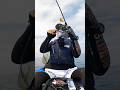 イカは釣れたがとんでもない事が起きてしまった... #エギング #fishing #カヤックフィッシング