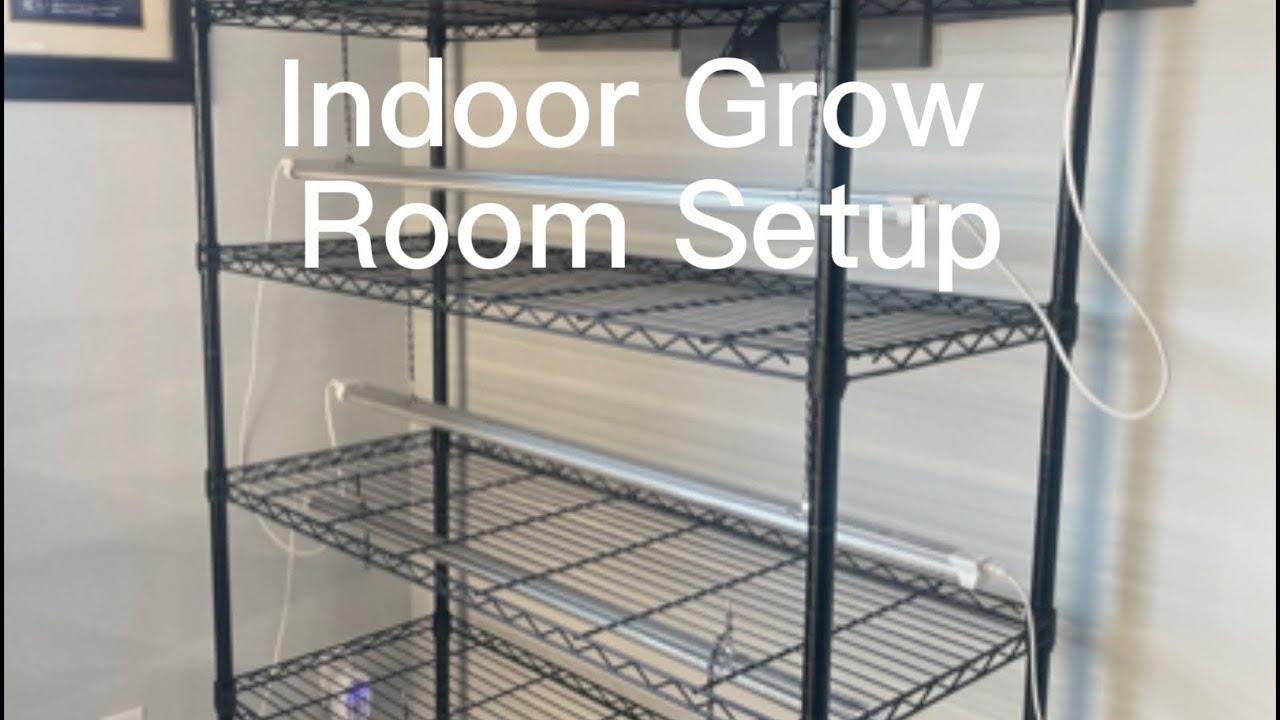 Indoor Grow Room Setup