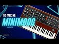 Moog Minimoog // NO TALKING!