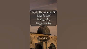 سورة الأنفال الآية ٢٩ و ٣٠ بصوت الشيخ محمد صديق المنشاوي