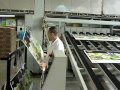 Flexo Printing Machine - coated corrugated cardboard printing