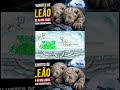 Filhotes de leão de 40 mil anos foram encontrados! (Parte 2)