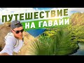 Какие Гавайи Зимой? Отдых в Америке и Путешествие по США, Гавайи (Hawaii) | САНЯ В ШТАТАХ