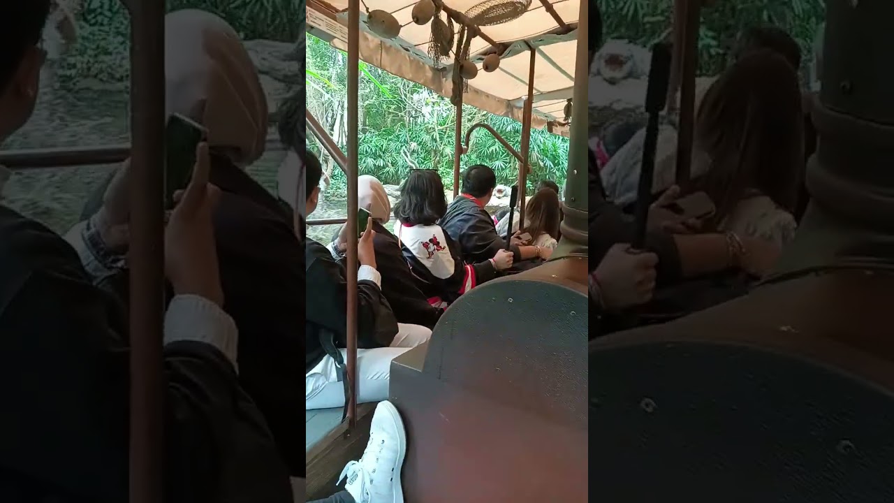 Hong kong disneyland tour