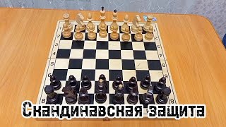 Как выиграть в дебюте в шахматы!? Скандинавская защита. Дебютная ловушка