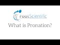 What is Pronation?