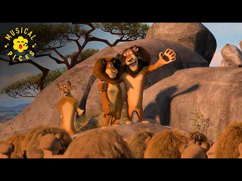 Moto Moto’s Iconic Entrance "I Like Them Chunky"  | Madagascar Escape 2 Africa