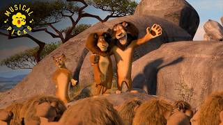 Moto Motos Iconic Entrance I Like Them Chunky   Madagascar Escape 2 Africa