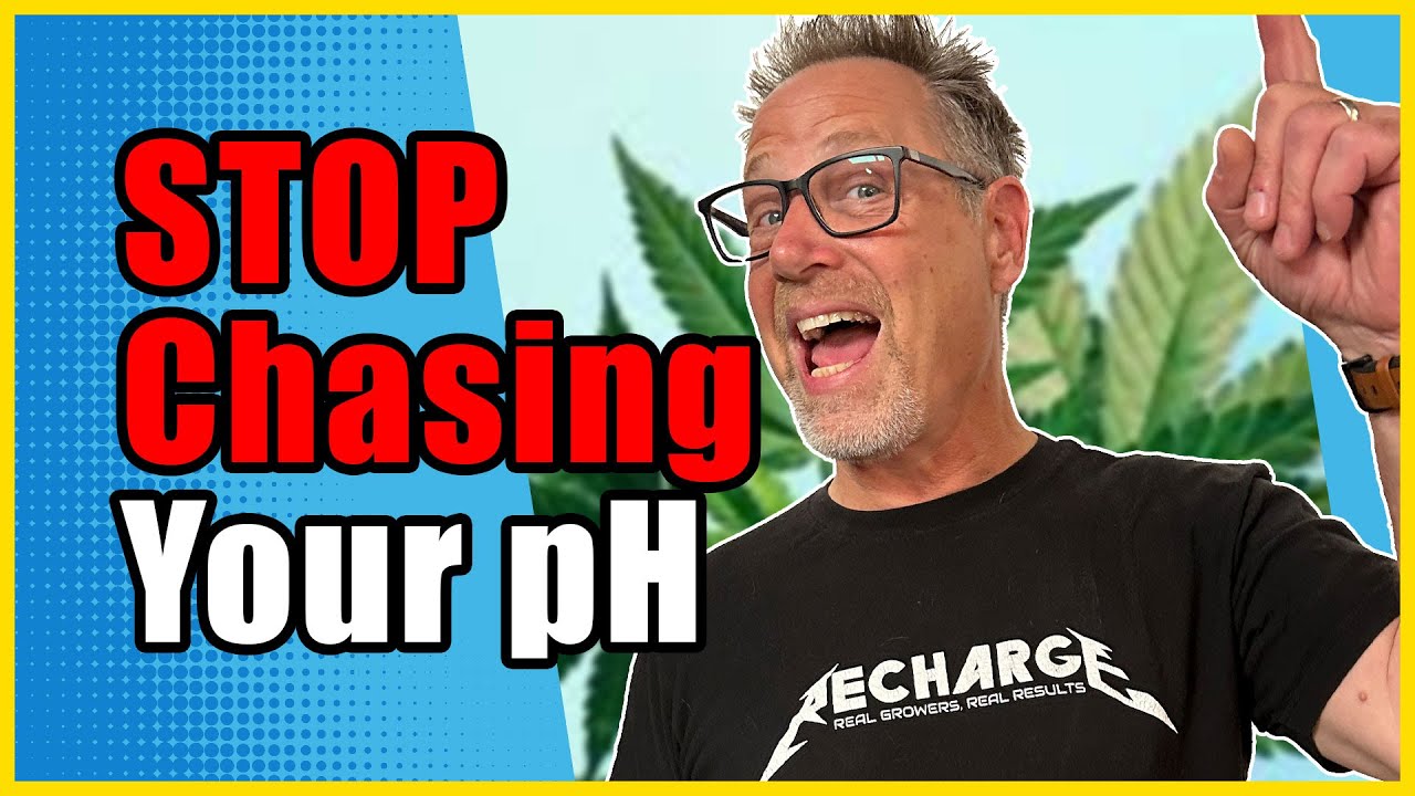Add THIS to Your Soil For PERFECT pH at Your Root Zone - YouTube