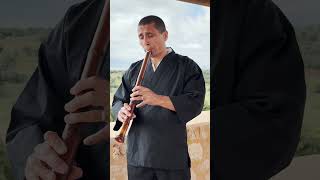 Traditional Shakuhachi Music – Akita Sugagaki | Rodrigo Rodríguez #shakuhachi #traditional #japan