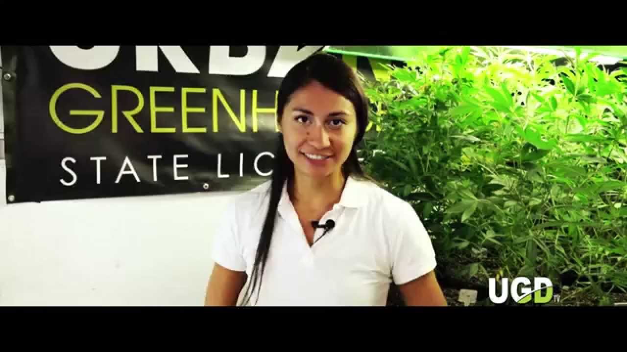 How to Make Premium Caviar Cones