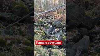 горные речушки