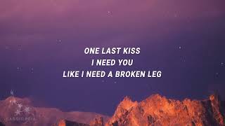 The Taxpayers - I Love You Like An Alcoholic (One Last Kiss) (Lyrics)