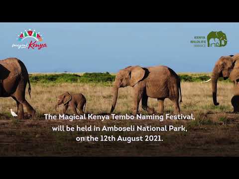 Tembo Naming Festival Launch 