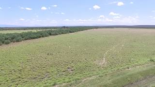 Rancho Terrazas - Anahuac N.L. 2016