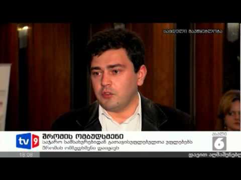 ახალი 6 | შრომის ომბუდსმენი | 13.04.13