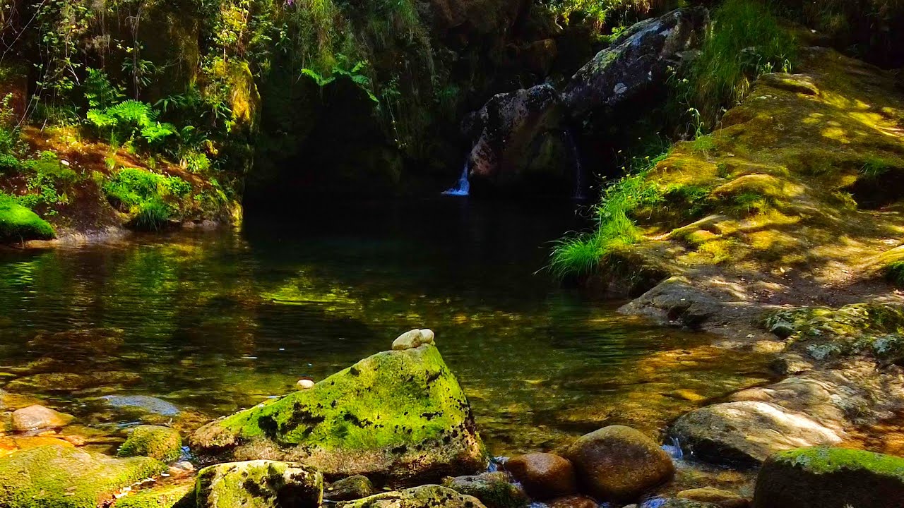 Relax - Hidden Forest Pool with Crystal Water and Mossy Stones 🌿💧