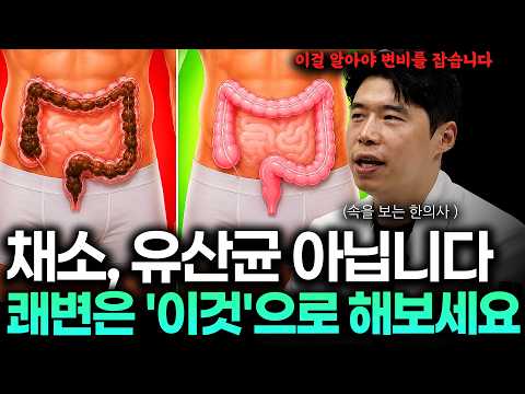 매일 쾌변하는 사람들은 채소보다 ‘이것’을 먼저 지킵니다 속을 보는 한의사가 말하는 소화불량의 진실 (지현우 원장 2부)
