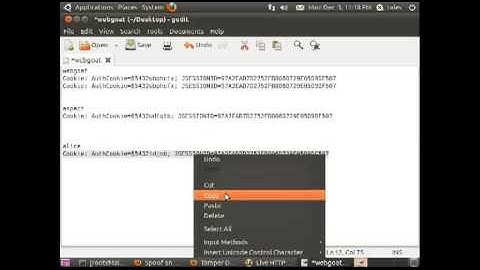 Spoof an Authentication Cookie