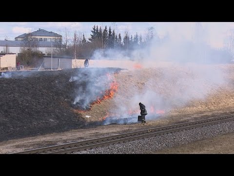 Video: Kas Notiek, Ja Automašīnās Tiek Aizliegtas Pilsētas - Alternatīvs Skats