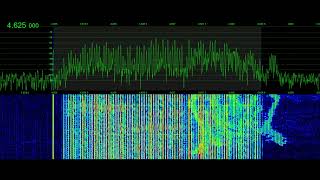 Russian Buzzer UVB-76 Fights Pirates with Idle MS-5 Burst | Signal Phantom