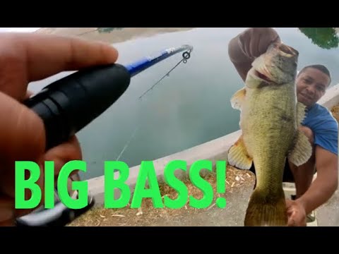BIG BASS on a JERKBAIT!