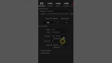 DaVinci prolemas al exportar