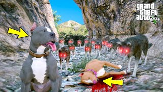 YAVRU PİTBULL SEVGİLİSİ İÇİN TEK BAŞINA ÇAKAL YUVASINI BASIYOR! - GTA 5