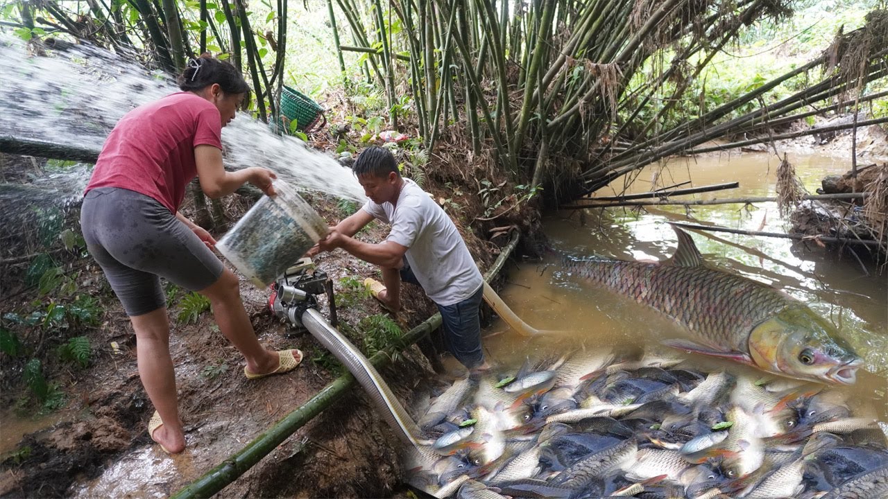 Amazing Girl Fishing - Cleverly use The Pump To Suck Water in The Wild ...