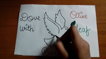 How to draw a Dove with Olive leaf - Symbol of peace