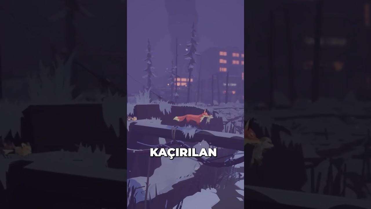 preview_player