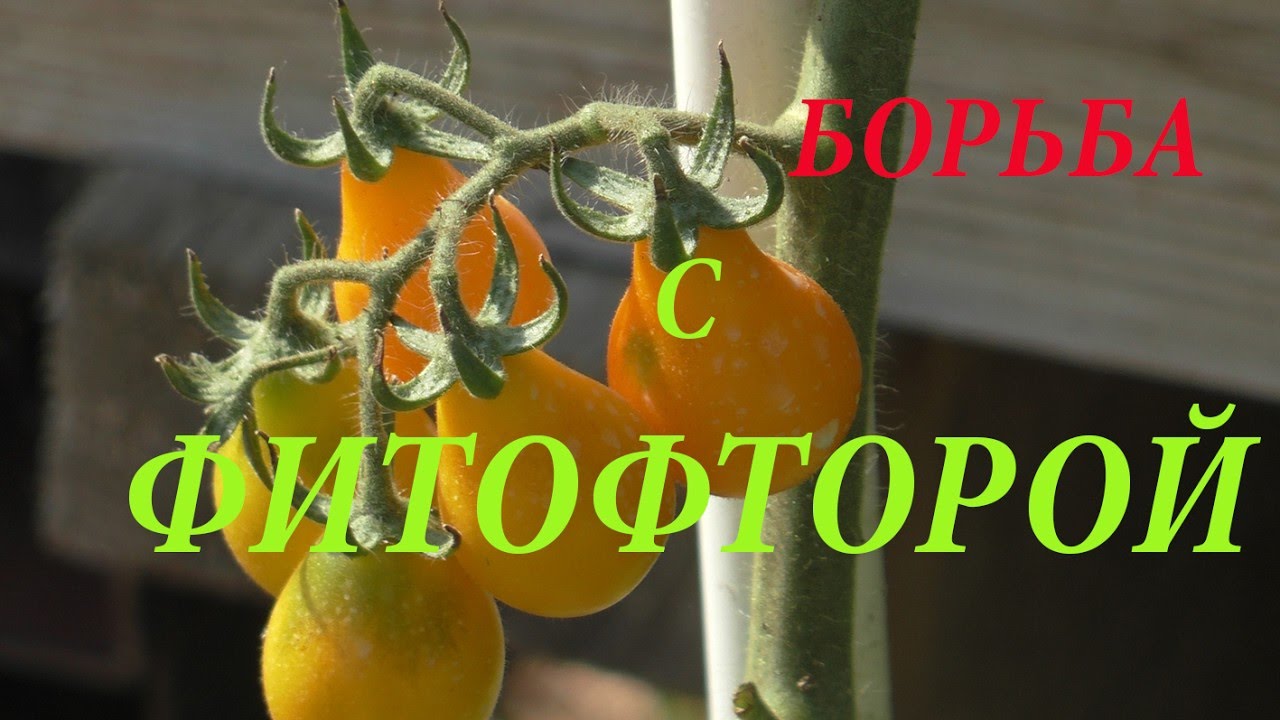 Приготовление раствора фурацилина