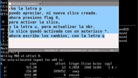 OpenBSD y Zenwalk en dual boot 1° Parte