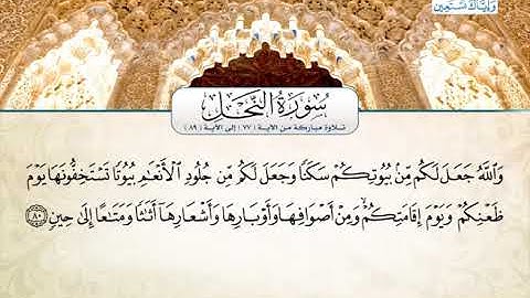 القارئ محمد فوزي هندي - سورة النحل