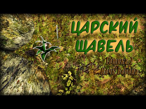 Видео: ЦАРСКИЙ ЩАВЕЛЬ. Где найти? / Готика 2 Ночь Ворона \ Гайд