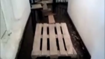 accurate representation of shimmer