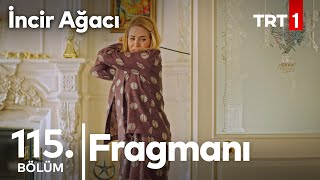 İncir Ağacı 115.  fragmanı Resimi