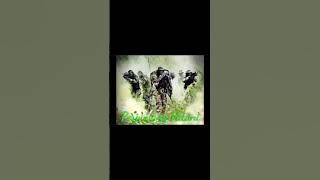 Melayu Fatoni Tegoh Berjuang